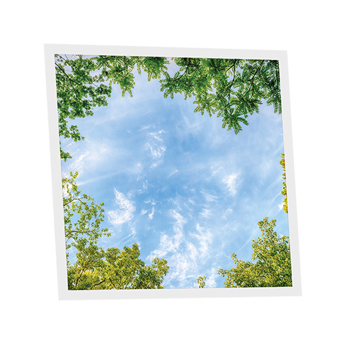 [DT1-CEN-6060-X1] Pack 1 Dalle LED Imprimée - Central Park - 600x600mm - Usinée en France by DELITECH