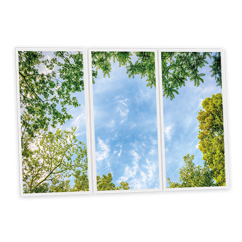 [DT1-CEN-12060-X3] Pack 3 Dalles LED Imprimées - Central Park - 1200x600mm - Usinée en France by DELITECH