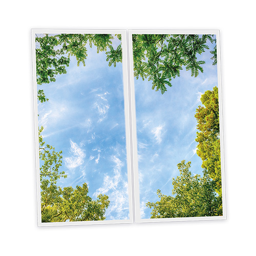 [DT1-CEN-12060-X2] Pack 2 Dalles LED Imprimées - Central Park - 1200x600mm - Usinée en France by DELITECH