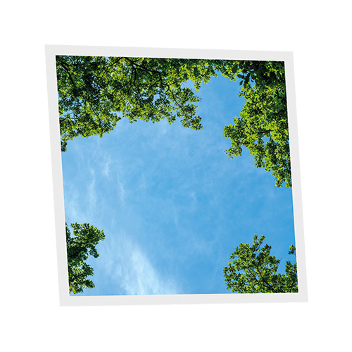 [DT1-FRE-6060-X1] Pack 1 Dalle LED Imprimée - Fresh Garden - 600x600mm - Usinée en France by DELITECH