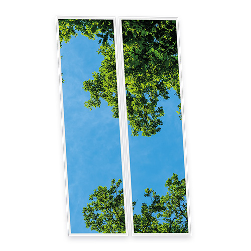 [DT1-FRE-12030-X2] Pack 2 Dalles LED Imprimées - Fresh Garden - 1200x300mm - Usinée en France by DELITECH