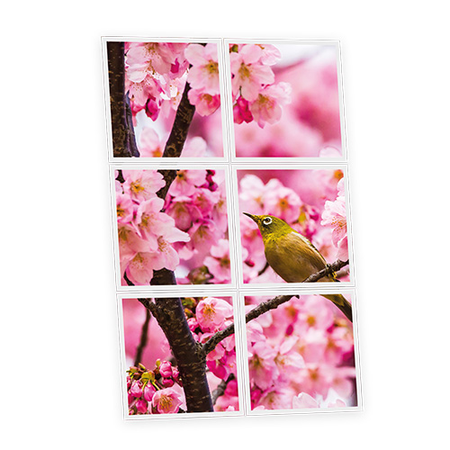 [DT1-ROM-6060-X6] Pack 6 Dalles LED Imprimées - Romance - 600x600mm - Usinée en France by DELITECH