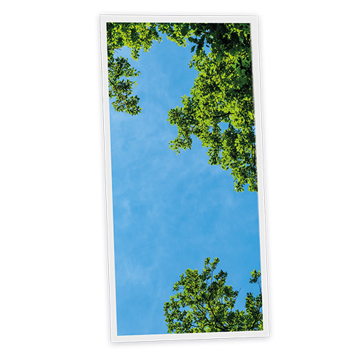 [DT1-FRE-12060-X1V] Pack 1 Dalle LED Imprimée verticale - Fresh Garden - 1200x600mm - Usinée en France by DELITECH