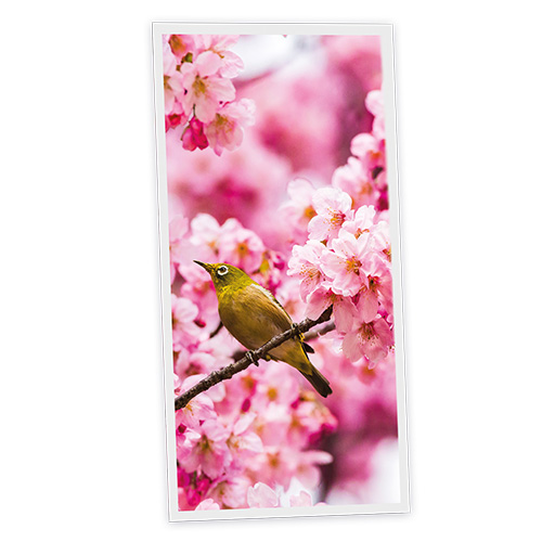 [DT1-ROM-12060-X1V] Pack 1 Dalle LED Imprimée verticale - Romance - 1200x600mm - Usinée en France by DELITECH