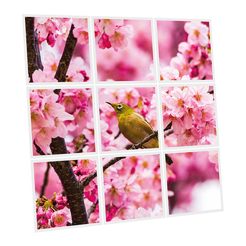 [DT1-ROM-6060-X9] Pack 9 Dalles LED Imprimées - Romance - 600x600mm - Usinée en France by DELITECH