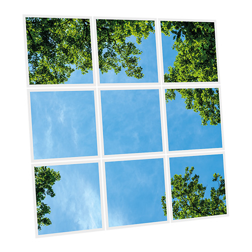 [DT1-FRE-6060-X9] Pack 9 Dalles LED Imprimées - Fresh Garden - 600x600mm - Usinée en France by DELITECH