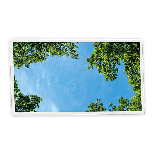 [DT1-FRE-12060-X1H] Pack 1 Dalle LED Imprimée horizontale - Fresh Garden - 1200x600mm - Usinée en France by DELITECH