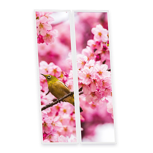 [DT1-ROM-12030-X2] Pack 2 Dalles LED Imprimées - Romance - 1200x300mm - Usinée en France by DELITECH