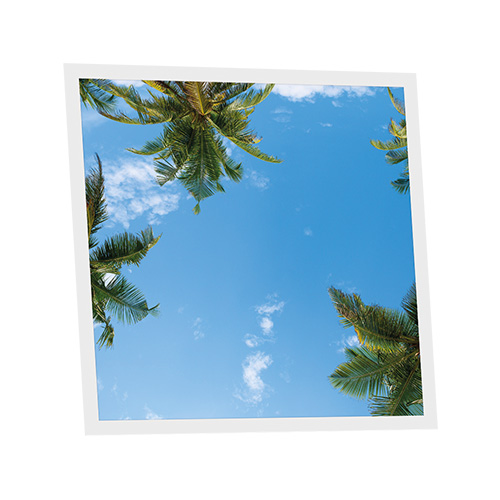 [DT1-CAL-6060-X1] Pack 1 Dalle LED Imprimée - California - 600x600mm - Usinée en France by DELITECH