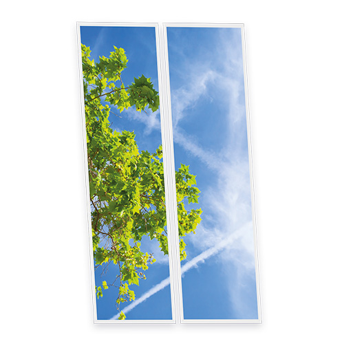 [DT1-BRA-12030-X2] Pack 2 Dalles LED Imprimées - Branch - 1200x300mm - Usinée en France by DELITECH