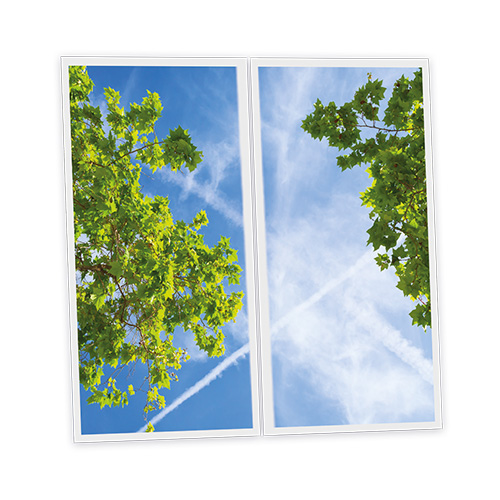 [DT1-BRA-12060-X2] Pack 2 Dalles LED Imprimées - Branch - 1200x600mm - Usinée en France by DELITECH