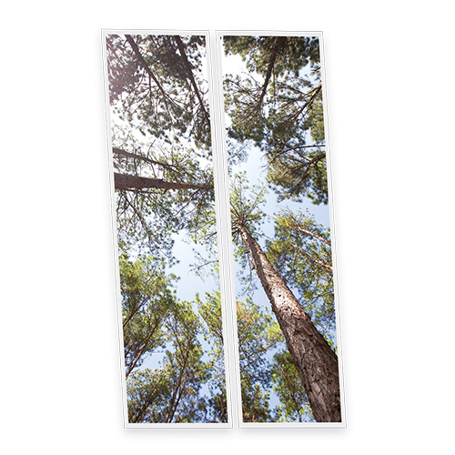 [DT1-PIN-12030-X2] Pack 2 Dalles LED Imprimées - Pine - 1200x300mm - Usinée en France by DELITECH