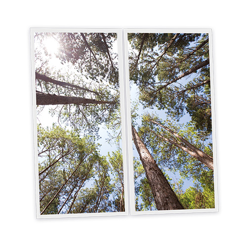 [DT1-PIN-12060-X2] Pack 2 Dalles LED Imprimées - Pine - 1200x600mm - Usinée en France by DELITECH
