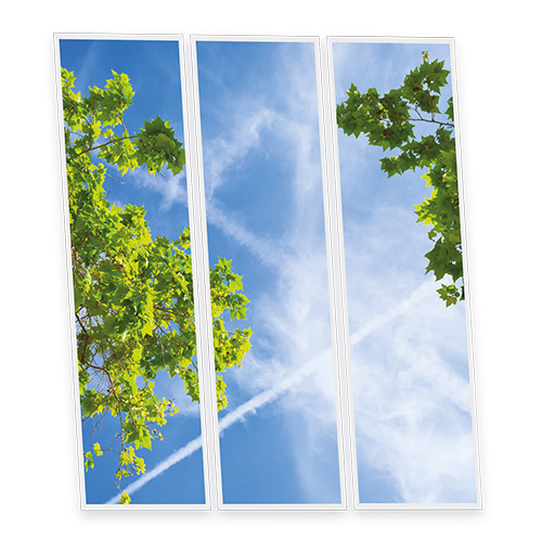 [DT1-BRA-12030-X3] Pack 3 Dalles LED Imprimées - Branch - 1200x300mm - Usinée en France by DELITECH