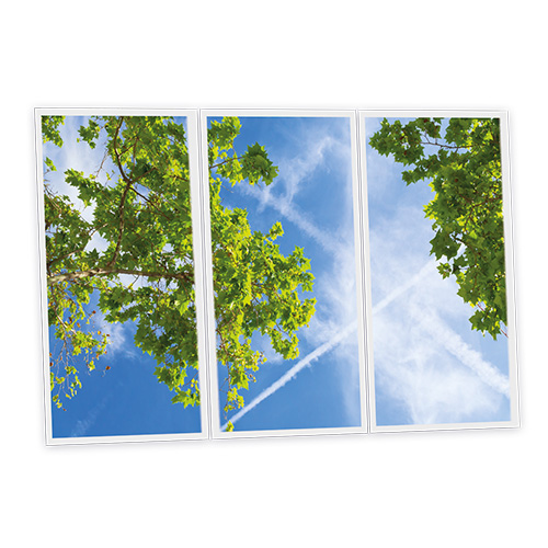 [DT1-BRA-12060-X3] Pack 3 Dalles LED Imprimées - Branch - 1200x600mm - Usinée en France by DELITECH