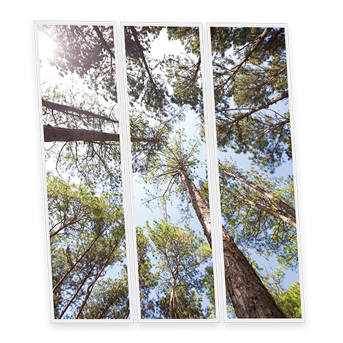 [DT1-PIN-12030-X3] Pack 3 Dalles LED Imprimées - Pine - 1200x300mm - Usinée en France by DELITECH