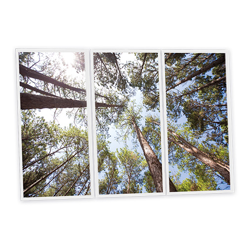 [DT1-PIN-12060-X3] Pack 3 Dalles LED Imprimées - Pine - 1200x600mm - Usinée en France by DELITECH