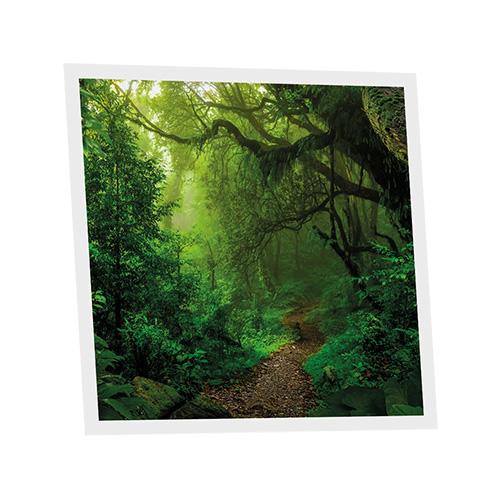 [DT1-FOR-6060-X1] Pack 1 Dalle LED Imprimée - Forest - 600x600mm - Usinée en France by DELITECH