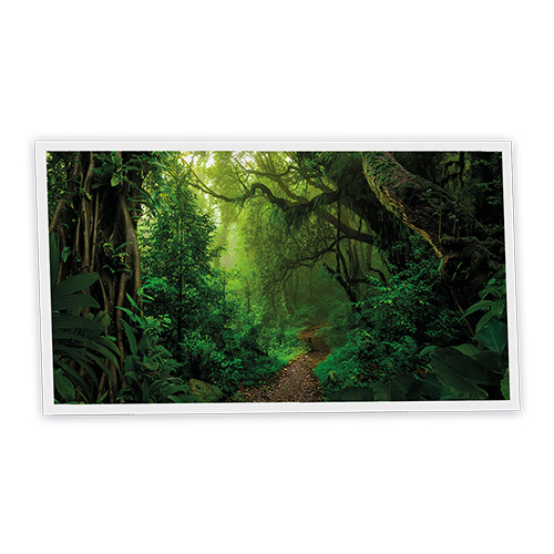 [DT1-FOR-12060-X1H] Pack 1 Dalle LED Imprimée horizontale - Forest - 1200x600mm - Usinée en France by DELITECH