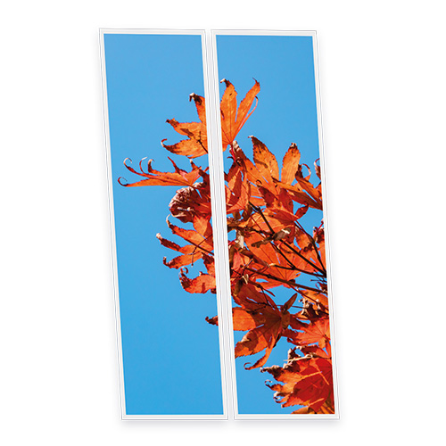 [DT1-AUT-12030-X2] Pack 2 Dalles LED Imprimées - Autumn - 1200x300mm - Usinée en France by DELITECH