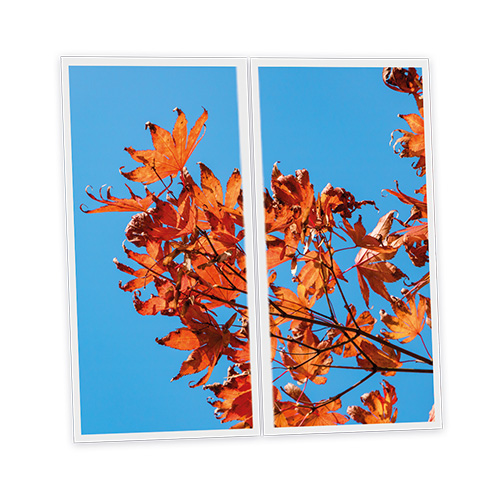 [DT1-AUT-12060-X2] Pack 2 Dalles LED Imprimées - Autumn - 1200x600mm - Usinée en France by DELITECH