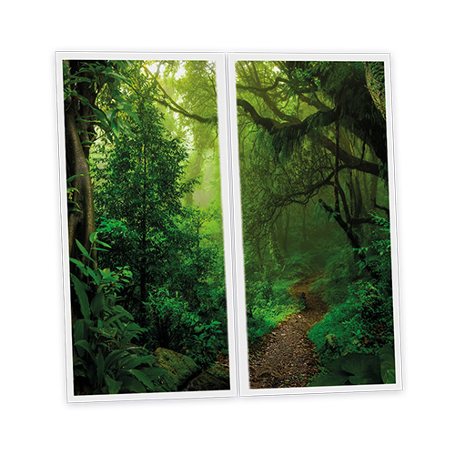 [DT1-FOR-12060-X2] Pack 2 Dalles LED Imprimées - Forest - 1200x600mm - Usinée en France by DELITECH