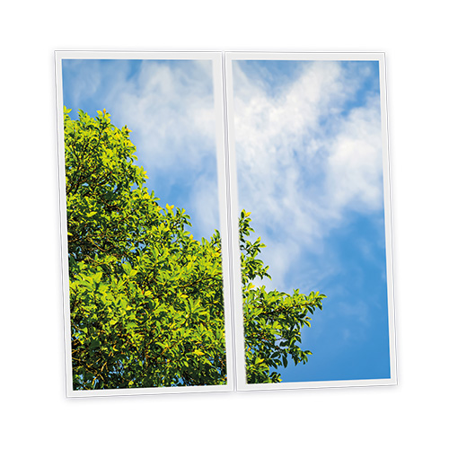 [DT1-TRE-12060-X2] Pack 2 Dalles LED Imprimées - Tree - 1200x600mm - Usinée en France by DELITECH