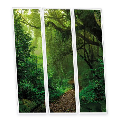[DT1-FOR-12030-X3] Pack 3 Dalles LED Imprimées - Forest - 1200x300mm - Usinée en France by DELITECH