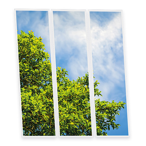 [DT1-TRE-12030-X3] Pack 3 Dalles LED Imprimées - Tree - 1200x300mm - Usinée en France by DELITECH