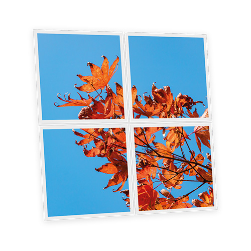 [DT1-AUT-6060-X4] Pack 4 Dalles LED Imprimées - Autumn - 600x600mm - Usinée en France by DELITECH
