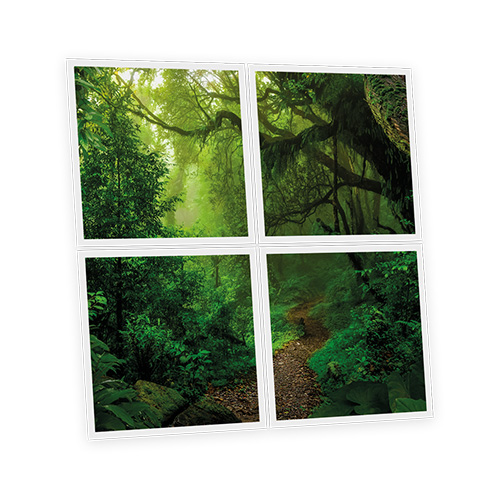 [DT1-FOR-6060-X4] Pack 4 Dalles LED Imprimées - Forest - 600x600mm - Usinée en France by DELITECH