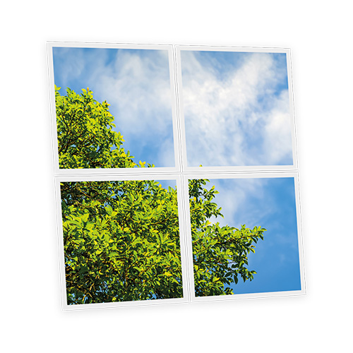 [DT1-TRE-6060-X4] Pack 4 Dalles LED Imprimées - Tree - 600x600mm - Usinée en France by DELITECH