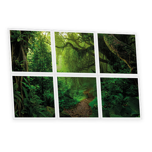 [DT1-FOR-6060-X6] Pack 6 Dalles LED Imprimées - Forest - 600x600mm - Usinée en France by DELITECH