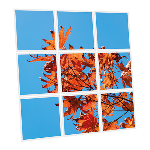 [DT1-AUT-6060-X9] Pack 9 Dalles LED Imprimées - Autumn - 600x600mm - Usinée en France by DELITECH