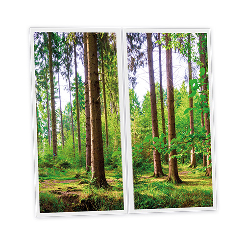 [DT1-WOO-12060-X2] Pack 2 Dalles LED Imprimées - Woods - 1200x600mm - Usinée en France by DELITECH
