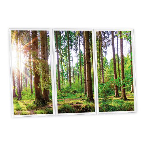 [DT1-WOO-12060-X3] Pack 3 Dalles LED Imprimées - Woods - 1200x600mm - Usinée en France by DELITECH